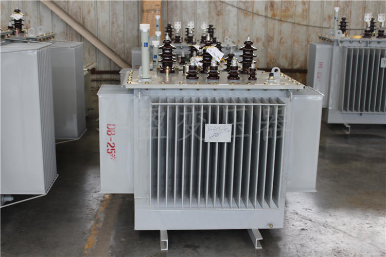 S20-800kVA/10kV/0.4kV变压器